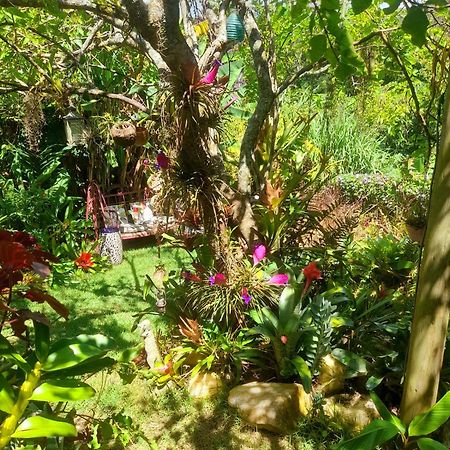 Casa De Vidro Lejlighed Petrópolis Eksteriør billede