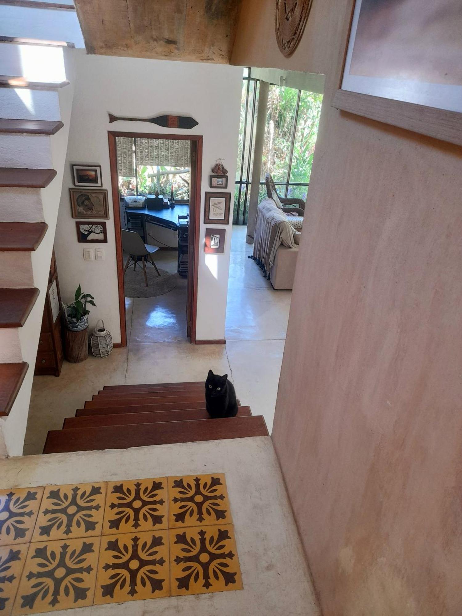 Casa De Vidro Lejlighed Petrópolis Eksteriør billede