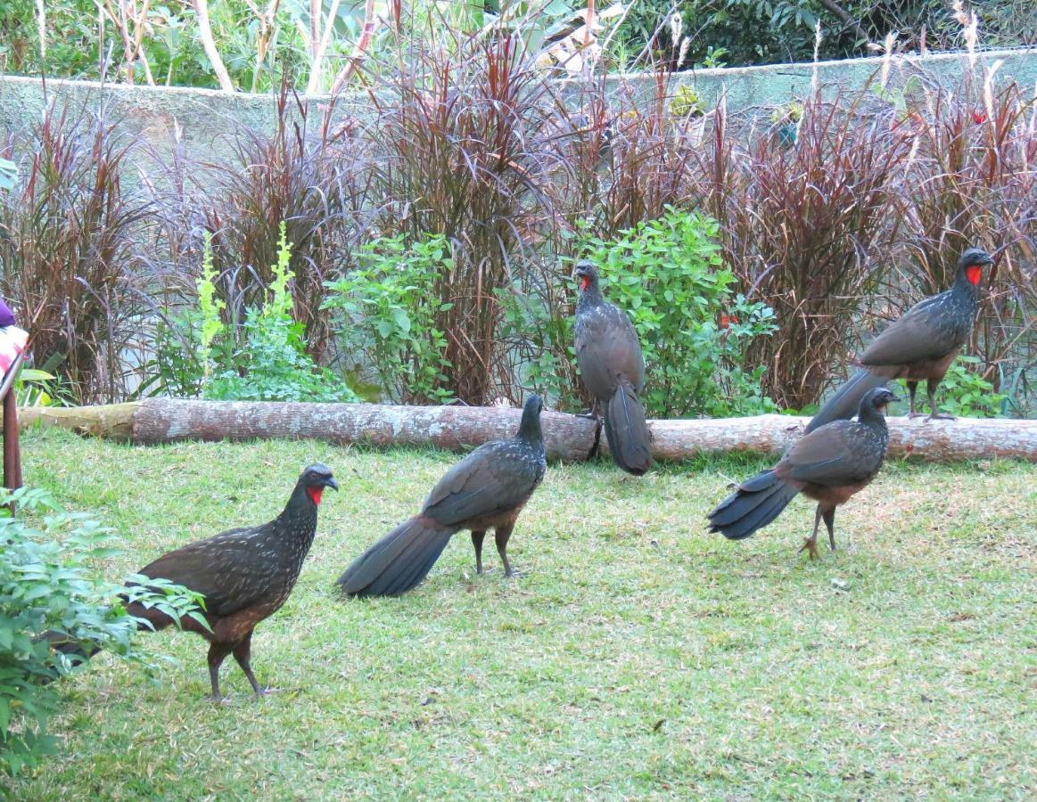 Casa De Vidro Lejlighed Petrópolis Eksteriør billede