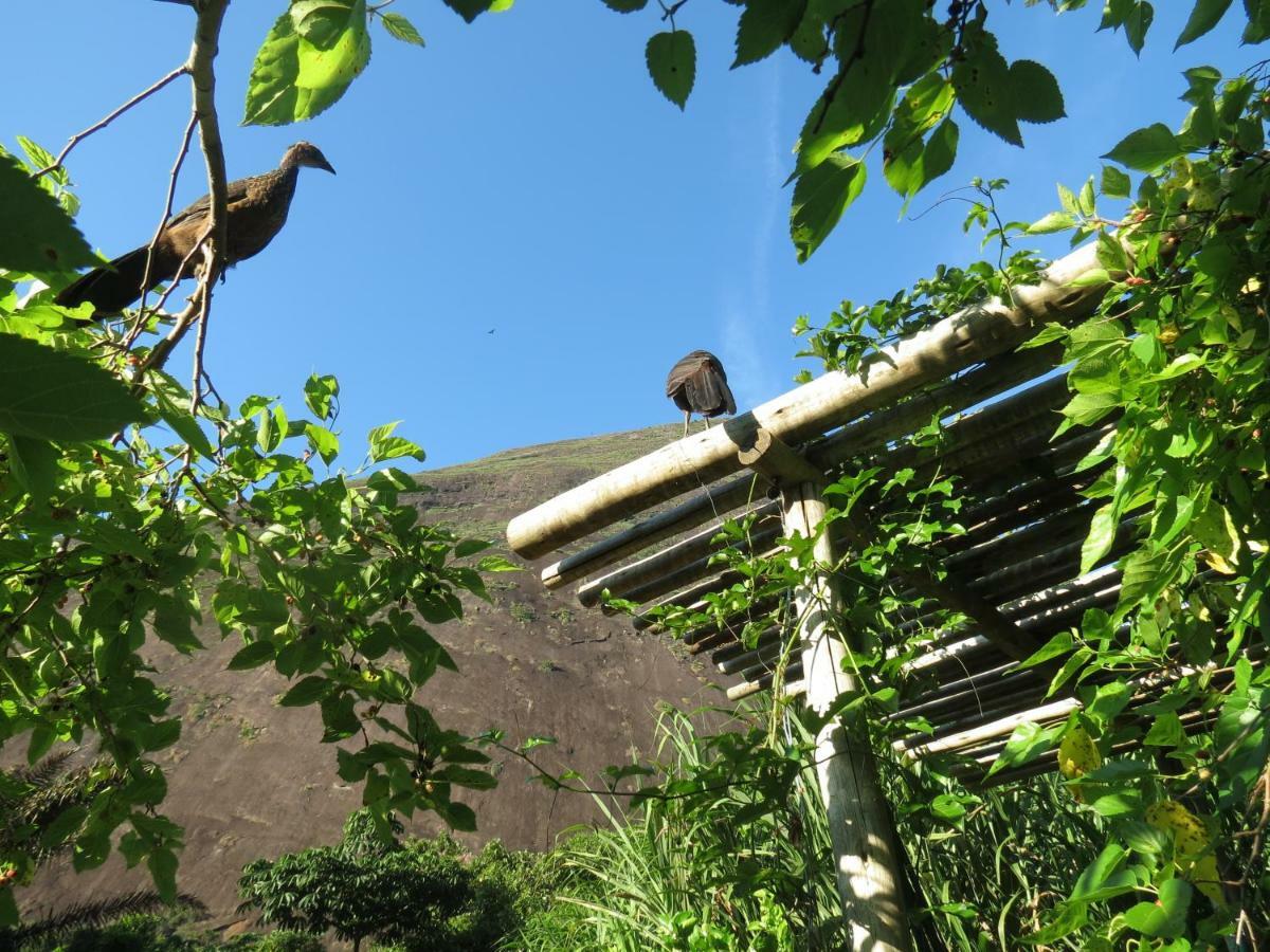 Casa De Vidro Lejlighed Petrópolis Eksteriør billede